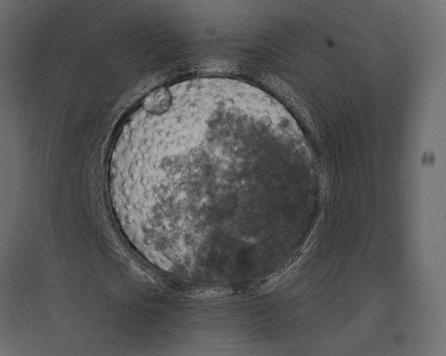 X0000097000721200803071117