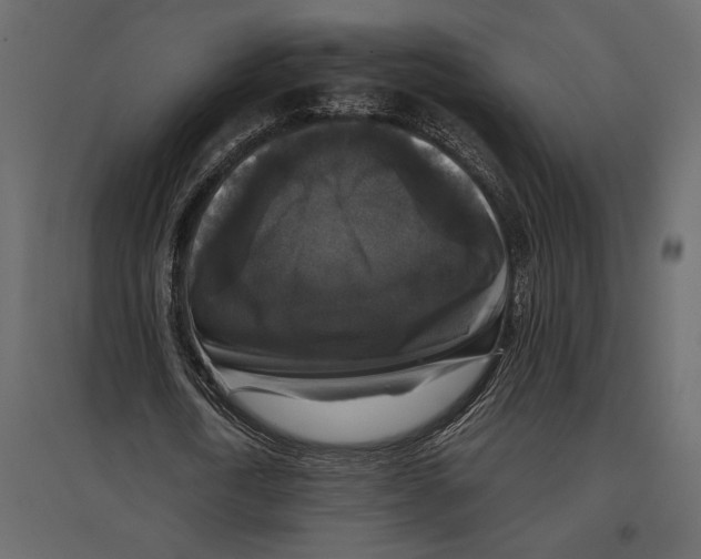 X0000097000722200803071117