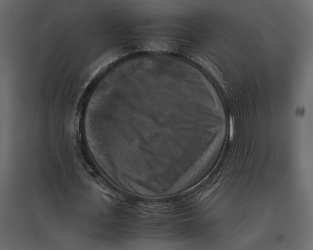 X0000097000723200803071117