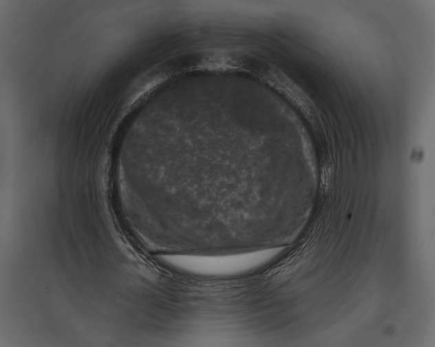 X0000097000724200803071117