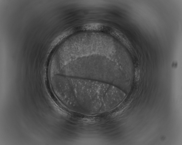 X0000097000725200803071117