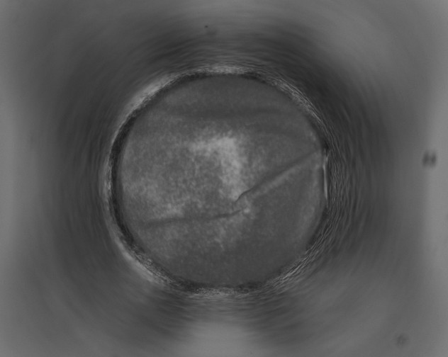 X0000097000726200803071117