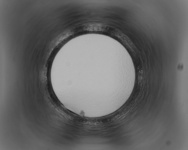 X0000097000727200803071117