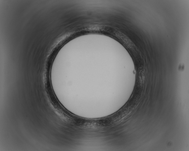 X0000097000728200803071117