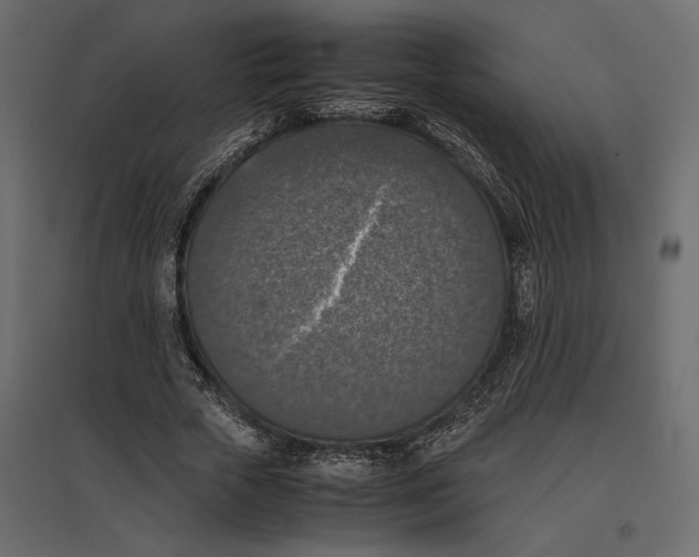 X0000097000729200803071117