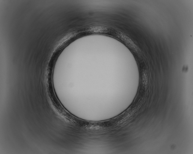 X0000097000730200803071117