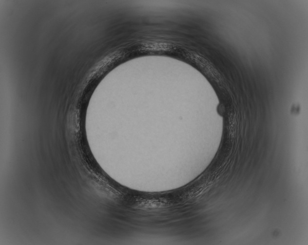 X0000097000731200803071117