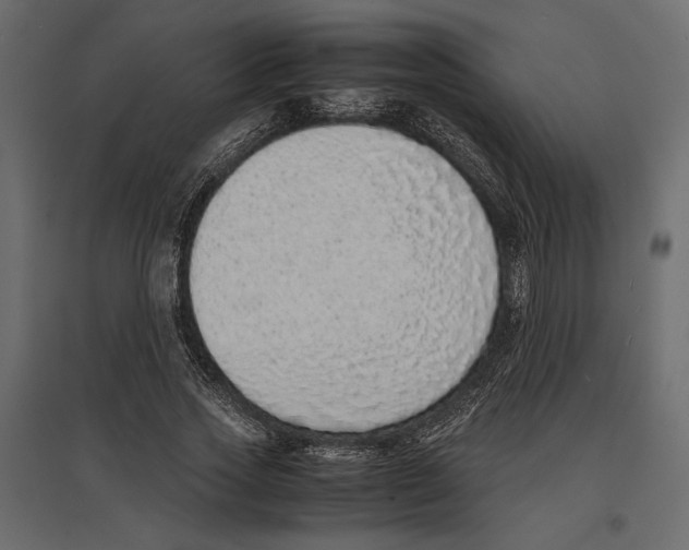 X0000097000733200803071117