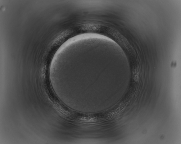 X0000097000735200803071117