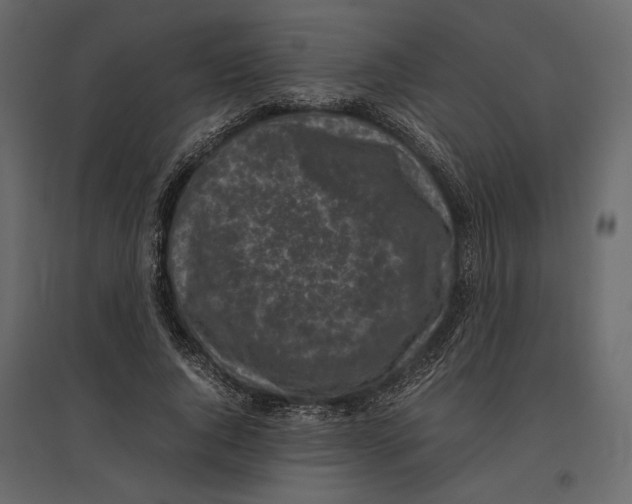 X0000097000736200803071117