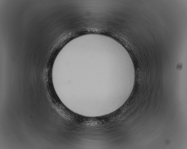 X0000097000738200803071117