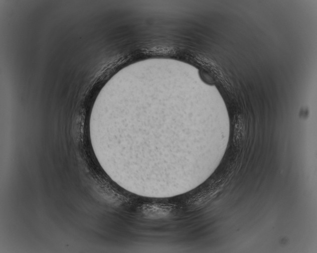 X0000097000739200803071117