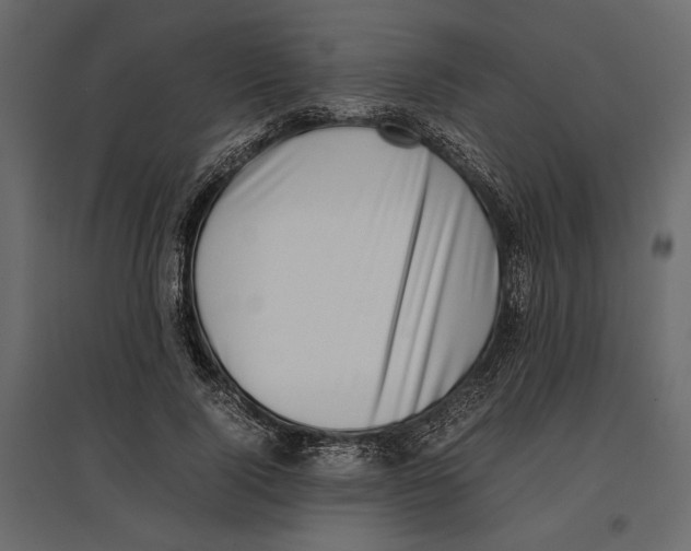 X0000097000740200803071117