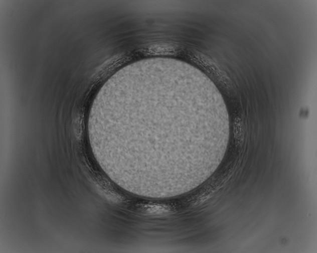 X0000097000741200803071117