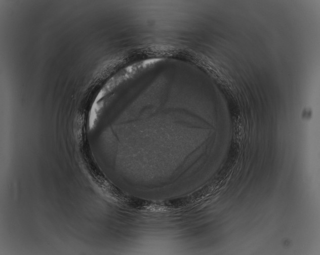 X0000097000742200803071117