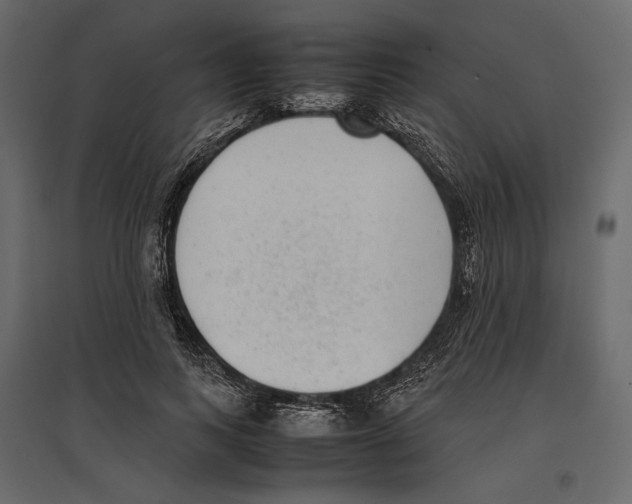 X0000097000743200803071117