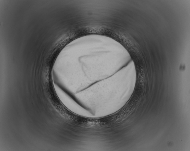 X0000097000744200803071117