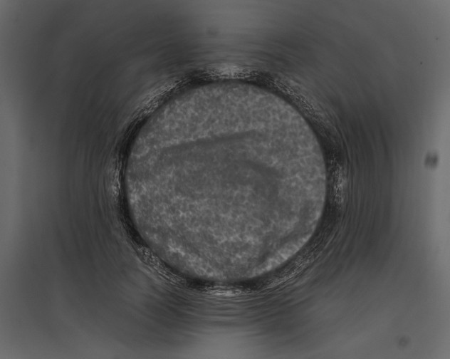 X0000097000746200803071117