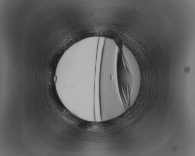 X0000097000750200803071117