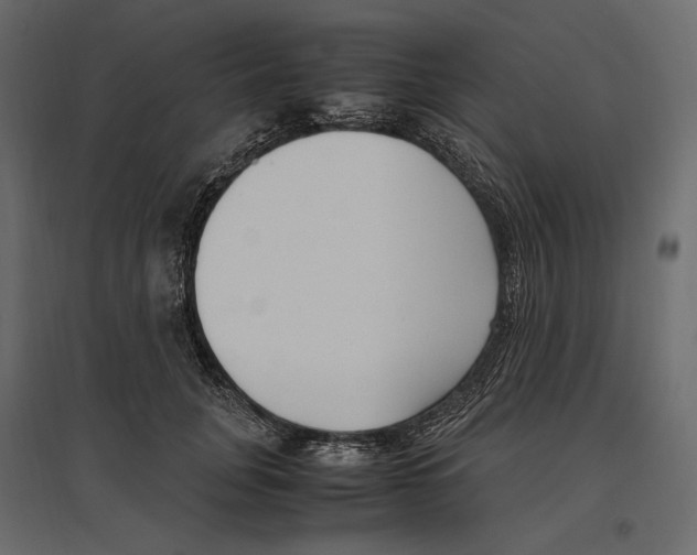 X0000097000751200803071117