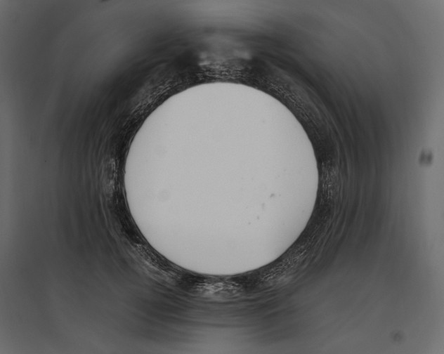 X0000097000752200803071117