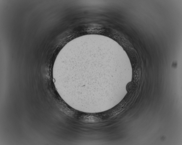 X0000097000755200803071117