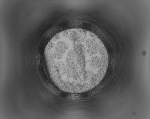 X0000097000758200803071117