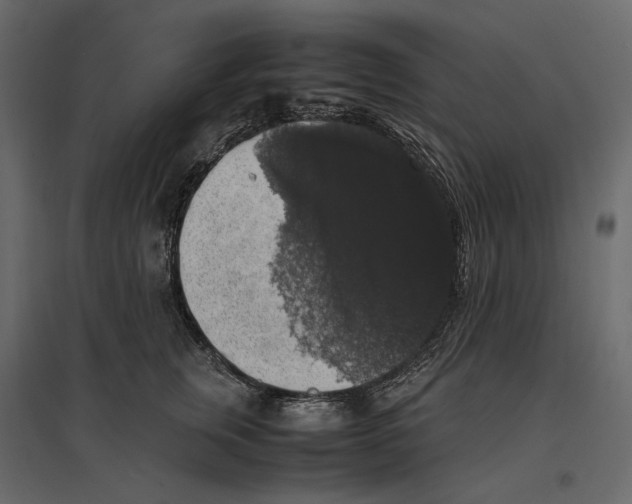 X0000097000759200803071117