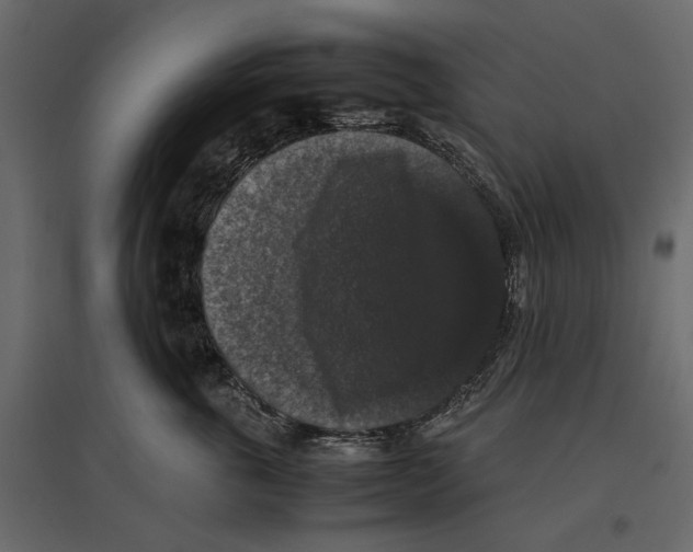 X0000097000763200803071117