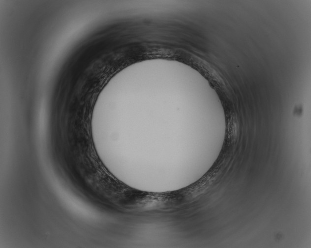 X0000097000764200803071117