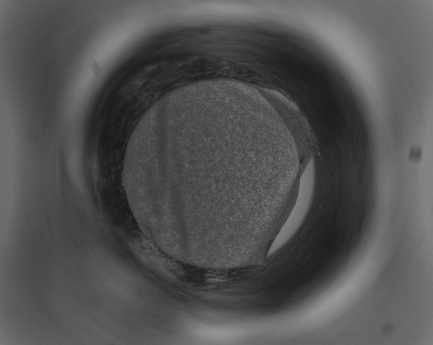 X0000097000766200803071117