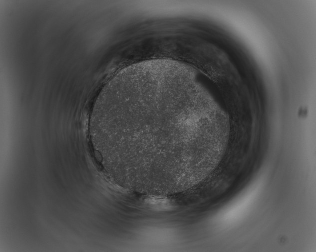 X0000097000767200803071117