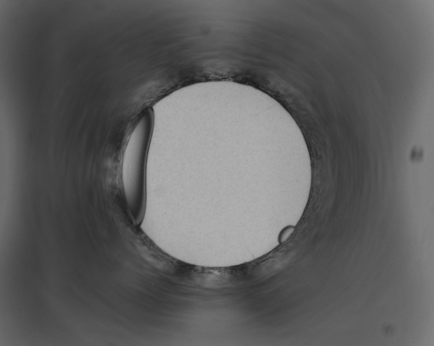 X0000097000768200803071117