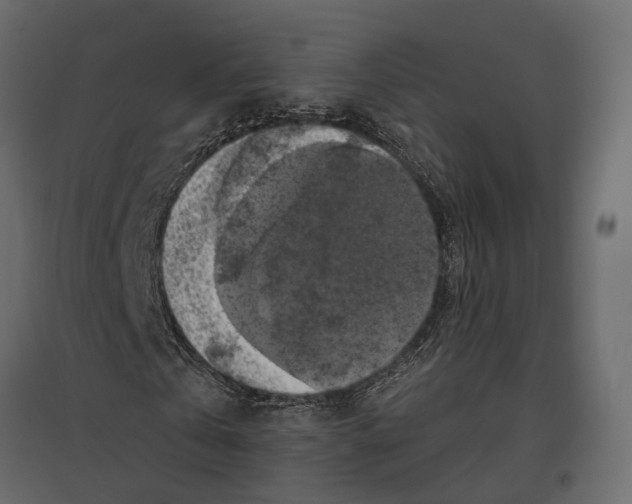 X0000097000769200803071117