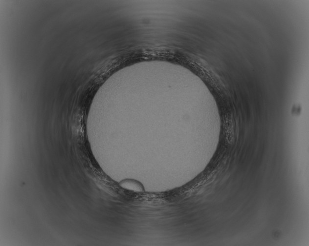 X0000097000770200803071117