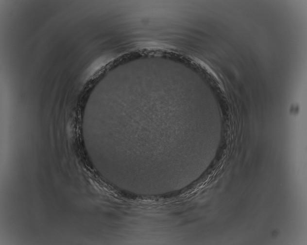 X0000097000775200803071117