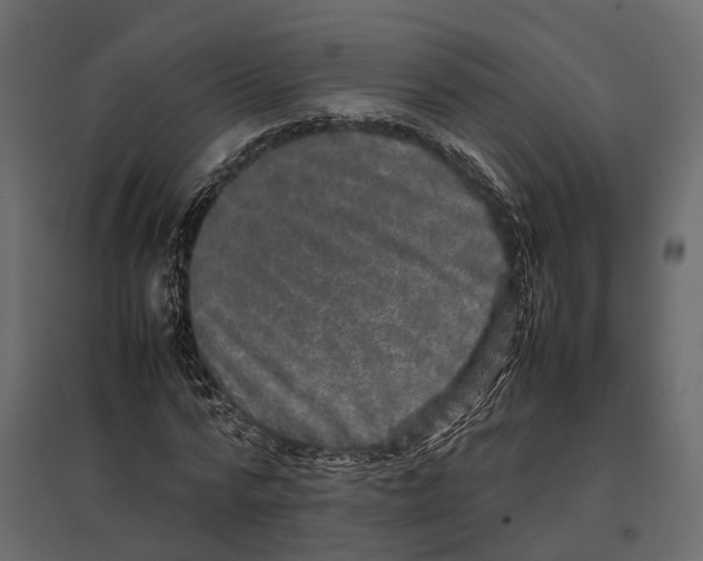 X0000097000776200803071117