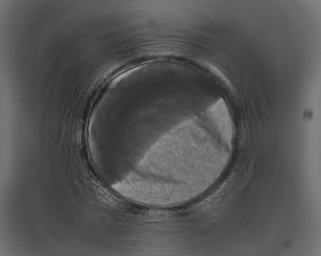 X0000097000777200803071116