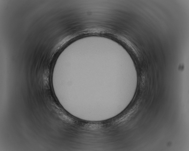 X0000097000778200803071116