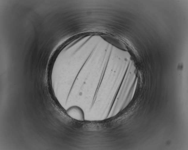 X0000097000780200803071116