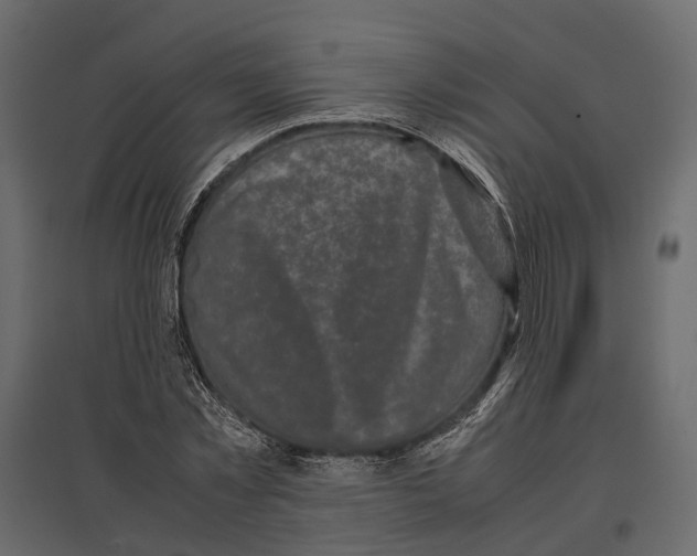 X0000097000781200803071116