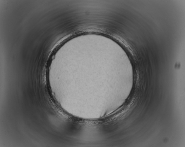 X0000097000782200803071116