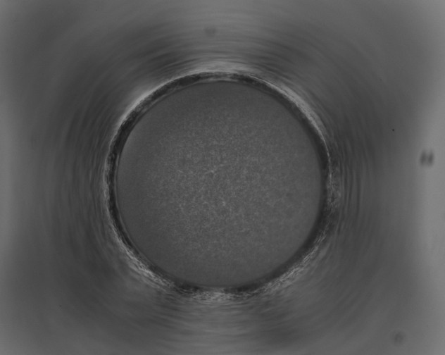 X0000097000783200803071116