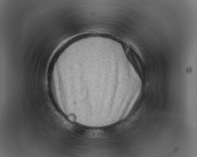 X0000097000784200803071116