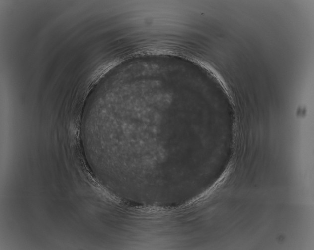 X0000097000785200803071116