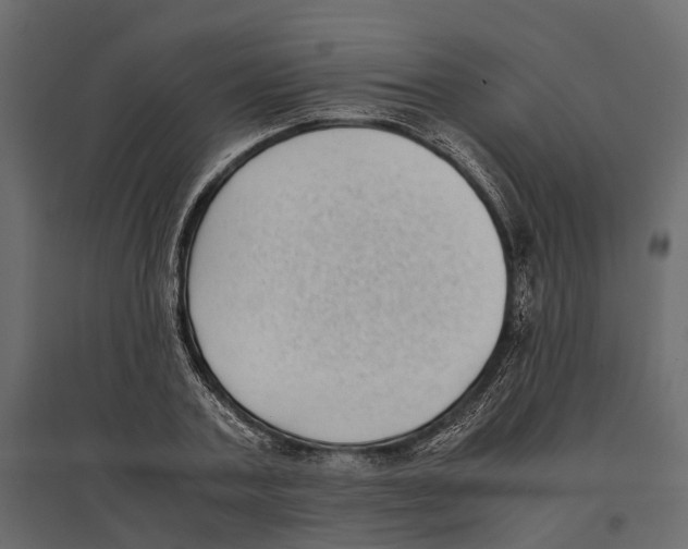 X0000097000787200803071116