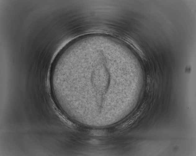 X0000097000788200803071116