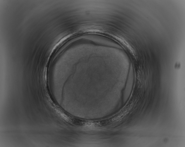 X0000097000790200803071116