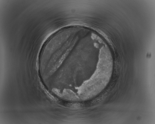 X0000097000791200803071116