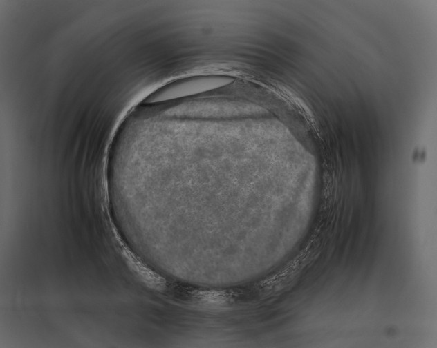 X0000097000792200803071116